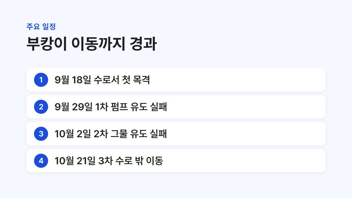 부캉이 첫 목격부터 세 번째 유도 성공까지 날짜별 경과를 정리한 카드